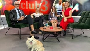 CLUB 3