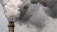Die Umweltorganisation WWF fordert vehement ein Klimaschutzgesetz in Österreich. (Symbolbild)