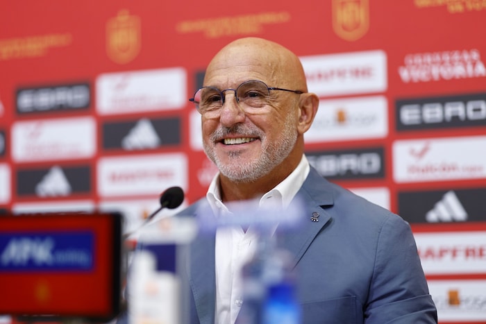 Spanien-Coach Luis de la Fuente