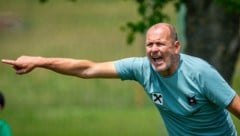 U19-Teamchef Martin Scherb will im vorletzten Test vor der EM-Quali eine entsprechende Leistung ...