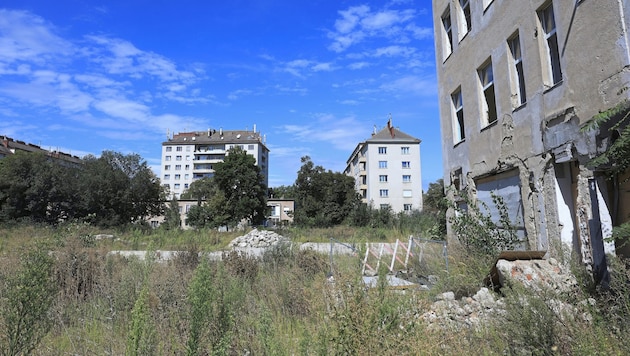 Dass an jener Stelle einst Zwangsarbeiter hausten, wissen nicht allzu viele.