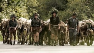 Rund 1000 Älper und etwa 40.000 Stück Vieh haben den Sommer auf den Alpen verbracht.