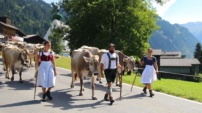 Der Alpabtrieb in Sankt Gallenkirch ist einer der größten im Montafon und hat Tradition.