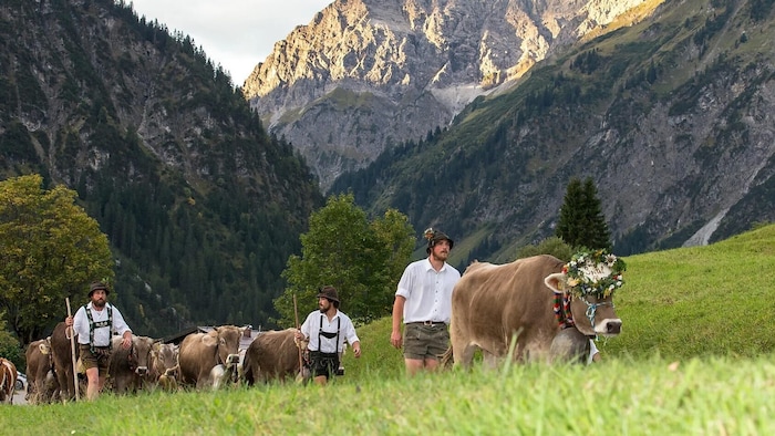 Von der Ruhe der Berge in den Wirbel: Die Älpler wandeln bei der Viehscheid zwischen zwei ...