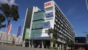 Wie kam das Wahlergebnis zustande?