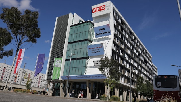 Wie kam das Wahlergebnis zustande?