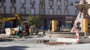 In Innsbruck wird der Bozner Platz seit Monaten neu gestaltet. Die 31 Bäume, die gepflanzt ...