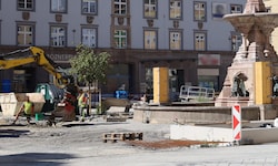 In Innsbruck wird der Bozner Platz seit Monaten neu gestaltet. Die 31 Bäume, die gepflanzt ...