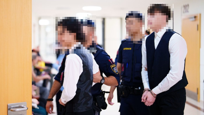 Die Jugendlichen müssen sich für eine brutale Raubserie in Wien verantworten.