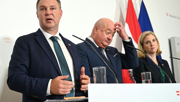 Kanzler Stocker und seine Koalitionspartner haben einen Festschmaus für Kickl aufbereitet ...