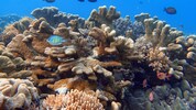 „Historisch beispiellos“ war das Ausbleiben der Strömung für die Wissenschaftler.