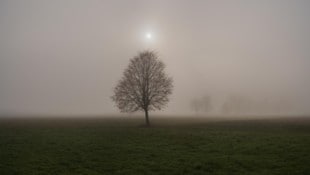 Die Tage werden kürzer, die Nächte länger, ab und an ziehen schon die ersten Nebelfelder auf. ...