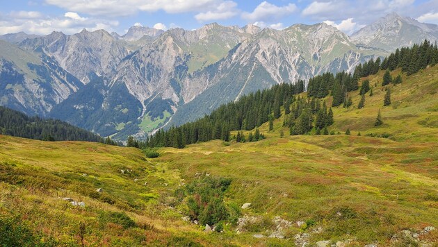 Auf dem Höhenweg in Richtung Thüringer Alpe