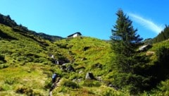 In einem Wiesenhang geht es die letzten Meter empor zur Rotwandalm.