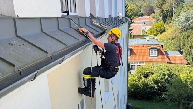 Der Höhenretter seilte sich aus der darüberliegenden Wohnung ab.