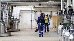 AustroCel in Hallein