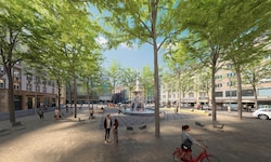 Der Wald muss in die Stadt, koste es, was es wolle. Die Stadt versuchte bei der Angabe der ...
