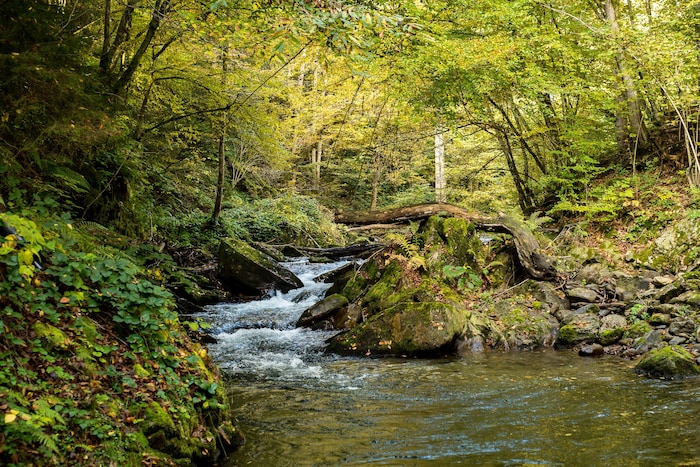 Flussverschmutzung droht zuzunehmen.