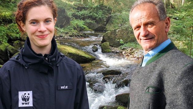 Gewässerschutzexpertin Marie Pfeiffer (WWF) drängt auf eine Unterschutzstellung des steirischen ...