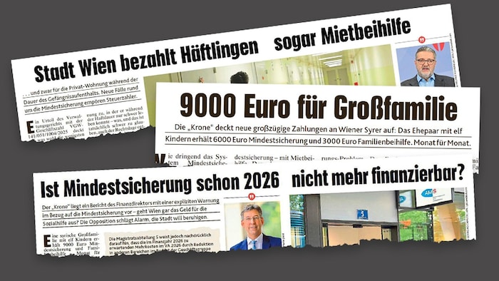 Eine Familie erhält 9000 Euro an Sozialleistungen – pro Monat. Nur einige der „Krone“- ...