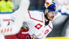 Tom Raffl und die Bulls verloren knapp in Tampere.