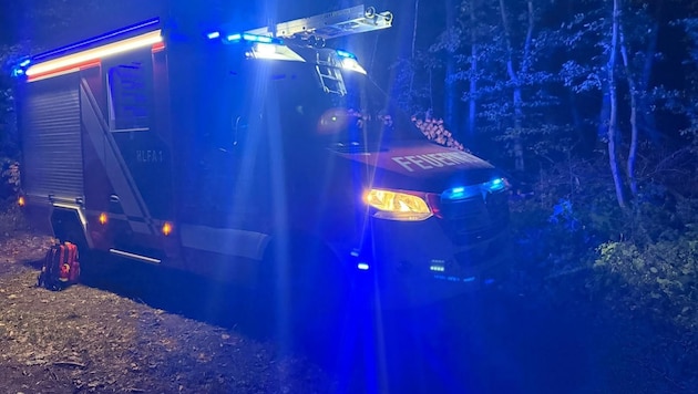 Die Einsatzkräfte suchten im Waldstück nach dem vermissten Buben.