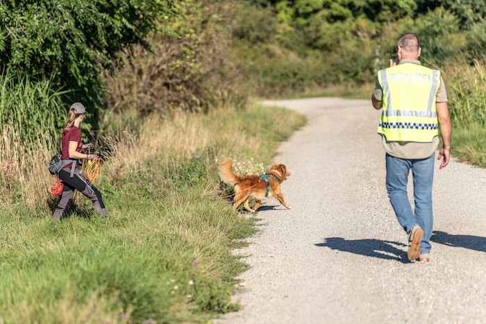 Kadaverspürhunde kommen zum Einsatz