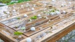 Vorsicht in den kommenden Stunden: Aus Westen ziehen Schauer und Gewitter über Teile ...