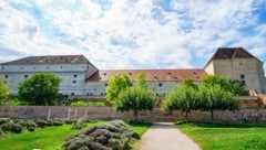 Das missachtete Baujuwel in Simmering soll mit neuem Konzept und neuen Ideen aus dem ...