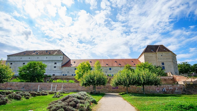 Schloss Neugebäude in Simmering. Der Kulturverein darf es exklusiv bespielen.