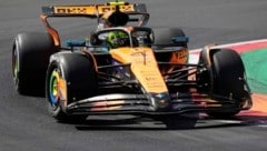Lando Norris