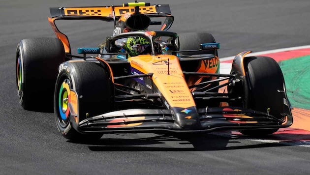 Lando Norris