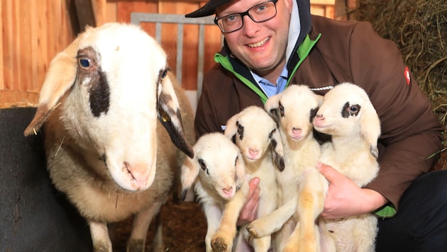 Feldkirchen wird Treffpunkt der Schaf- und Ziegenzüchter.