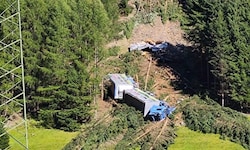 13 Rinder starben – manche sofort, manche mussten notgeschlachtet werden –, als ein Lkw mit den ...