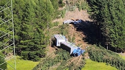 13 Rinder starben – manche sofort, manche mussten notgeschlachtet werden –, als ein Lkw mit den ...