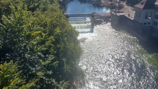Die vier Tschechen wurden beim Schnorcheln in der Traun immer weiter Richtung Kraftwerk gezogen.
