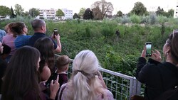 Auch in der Landeshauptstadt lockte „Emil“ bei seinem Besuch zahlreiche Schaulustige an. 