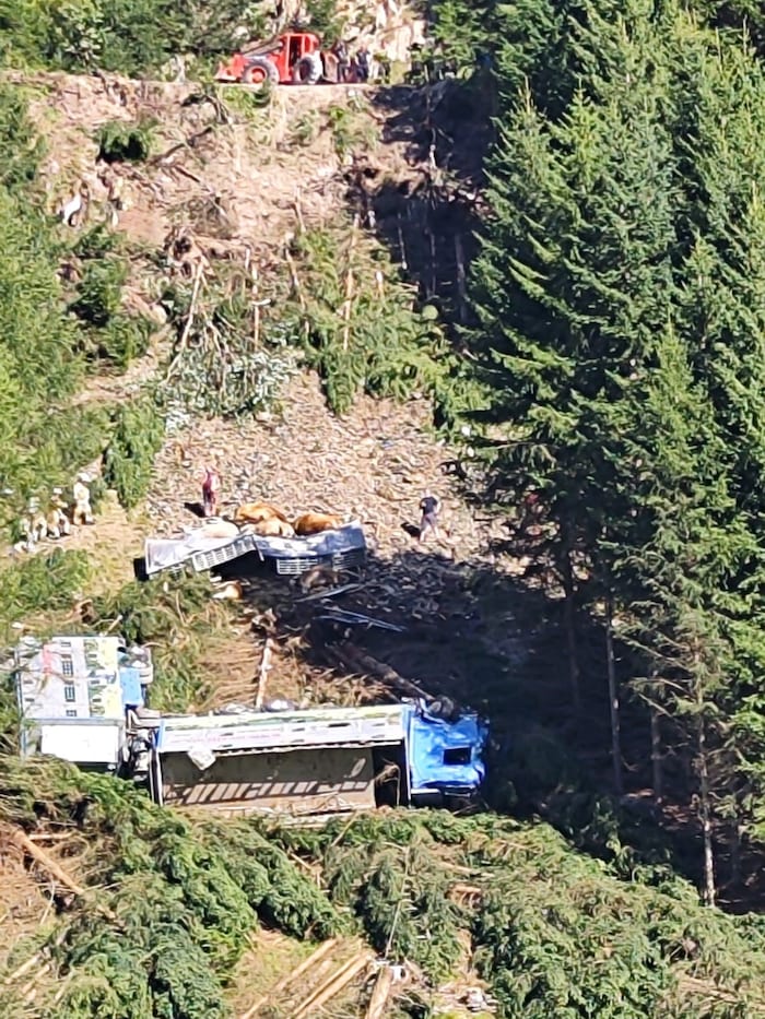 80 Meter unterhalb des Weges kam der Lkw zum Stillstand.