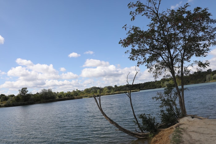 Der Wienerberg-Teich, ein Ort für Spaziergänge und Familienausflüge
