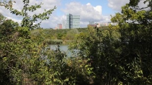 Der Bub wurde nahe dem Teich im beliebten Naherholungsgebiet Wienerberg entdeckt (Archivbild). ...