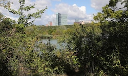 Der Bub wurde nahe dem Teich im beliebten Naherholungsgebiet Wienerberg entdeckt (Archivbild). ...