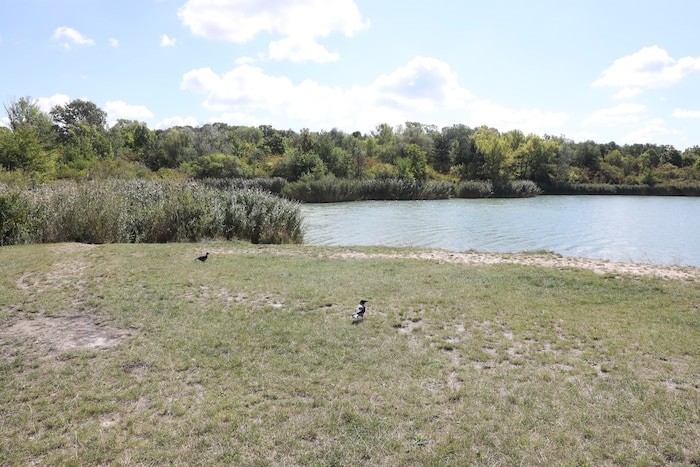 Das Baby wurde samt Kinderwagen neben einem Teich am Wienerberg zurückgelassen.