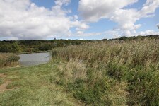 Der Bub wurde bei einem Teich gefunden und von der Berufsrettung ins Spital gebracht. 