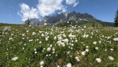 Der Hochkönig in den Berchtesgadener Alpen. 