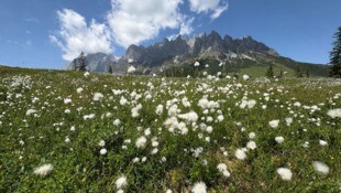 Der Hochkönig in den Berchtesgadener Alpen. 