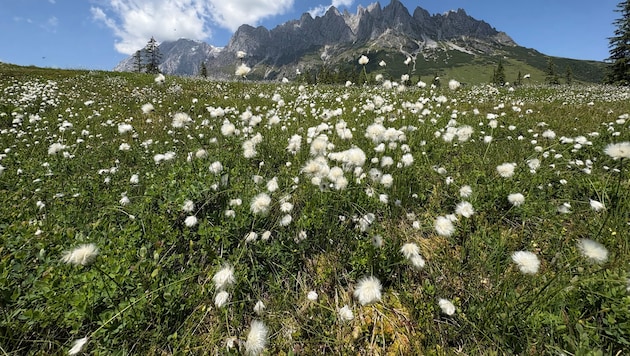 Der Hochkönig in den Berchtesgadener Alpen.