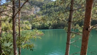 Der Steinbruchsee liegt mitten im Naturschutzgebiet Teufelstein-Fischerwiesen.