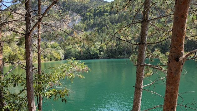 Der Steinbruchsee liegt mitten im Naturschutzgebiet Teufelstein-Fischerwiesen.