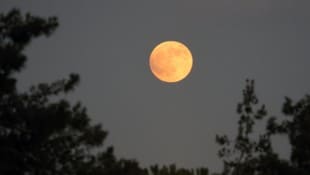 Der Blutmond vor Kurzem über Jerusalem