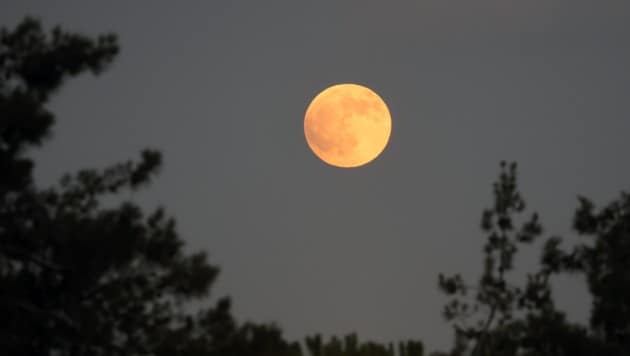 Der Blutmond vor Kurzem über Jerusalem